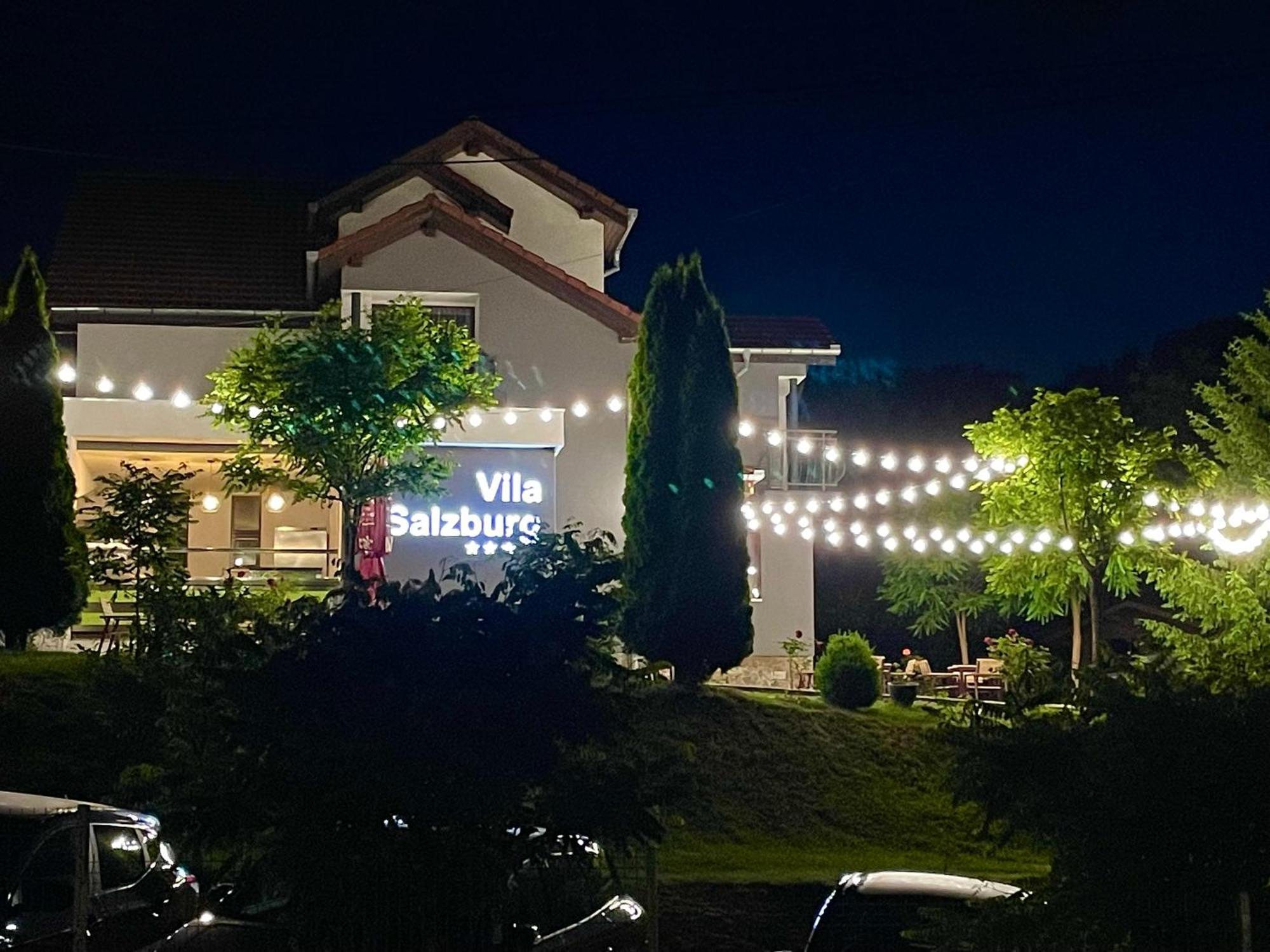 Vila Salzburg Hotel Ocna Sibiului Exterior photo